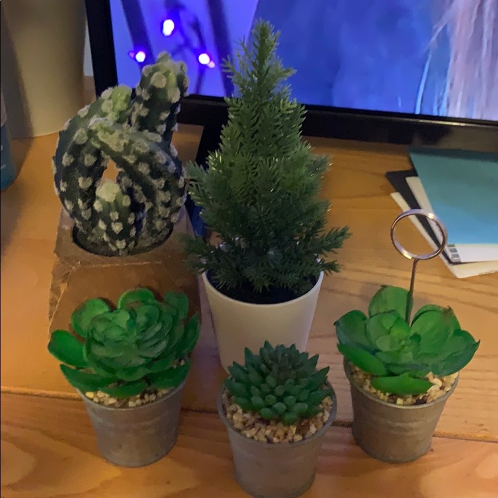 Assorted Fake Plant Decor